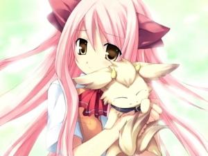 Animaux